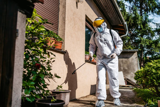 Insect Control in Lanai City, HI