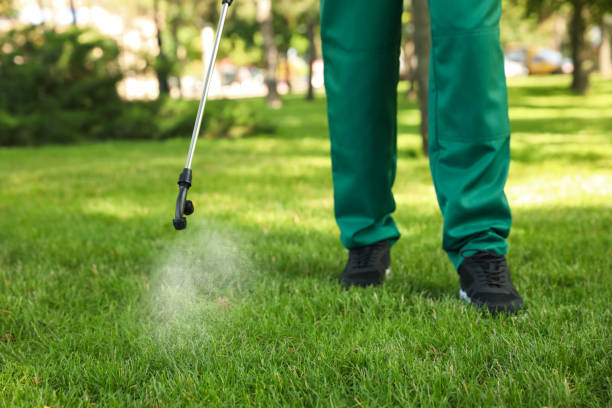 Best Residential Pest Control  in Lanai City, HI