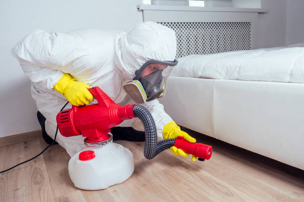 Best Commercial Pest Control Services  in Lanai City, HI