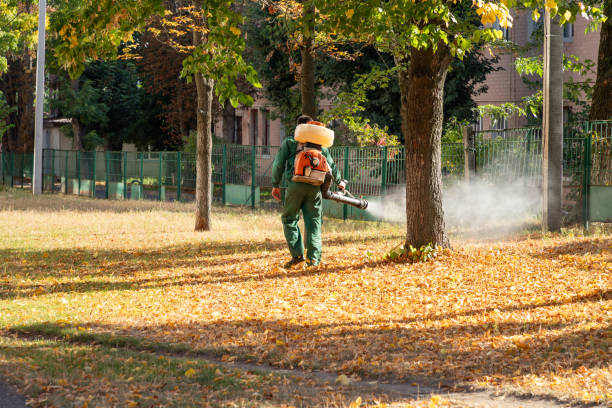 Best Wildlife Control Services  in Lanai City, HI